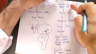 guyton chapter 57 part 2 Neuronal circuit of cerebellum afferent and efferent tracts of cerebellum [upl. by Alyda476]