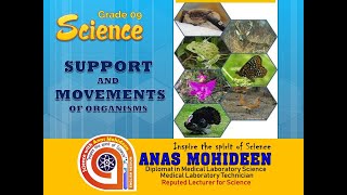 Grade 09  Support and Movement of Organisms  Anas Mohideen [upl. by Nekal]