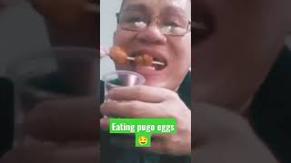 Satisfying Eating Yummy Pogo eggs yummy ShortAlgenJayawon eating [upl. by Boorman]