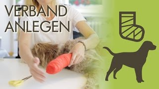 Verband richtig anlegen Pfotenverband wechseln  So gehts richtig [upl. by Alverta]