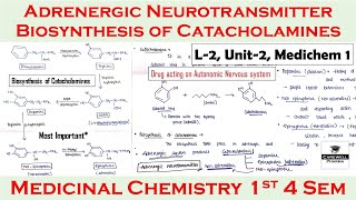 Adrenergic neurotransmitter  Biosynthesis of catacholamines  L2 U2  medicinal chemistry 4th sem [upl. by Jer]