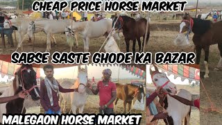 Sabse Saste Ghode available in Malegaon Jatra Nanded  Malegaon Horse Market 2024  Malegaon Yatra 🐎 [upl. by Orsa]