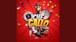 Che Gallo [upl. by Sibell]