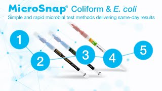 MicroSnap®  Coliform amp E coli with EnSURE® Touch  How To Use [upl. by Gnex]