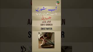 AabeShiiriin Meaning  Urdu Dictionary [upl. by Birkle]