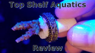 Top Shelf Aquatics Review [upl. by Dinerman97]