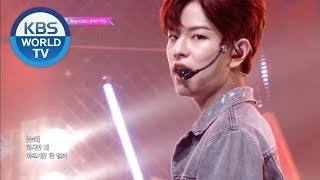 Stray Kids 스트레이키즈  부작용 Side Effects Music Bank COMEBACK  20190621 [upl. by Rola]