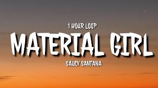 Saucy Santana  Material Girl 1 HOUR LOOP TikTok song [upl. by Rimisac]