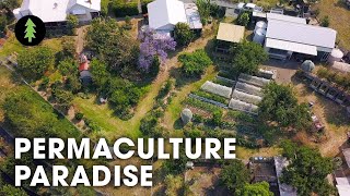 Hugely Abundant 1Acre Permaculture Homestead Tour – Limestone Permaculture Farm Revisit [upl. by Olva]