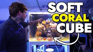 Introducing the NEW Soft Coral Cube at the Reef Builders Studio [upl. by Eidak]