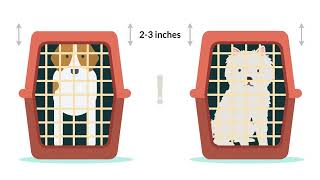 Travel Crates  Choosing the Correct BrandSize for your Pet [upl. by Ahseiym]