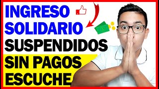 💥Hogares Suspendidos de Ingreso Solidario por esta Razón  RNEC 200  Informativo Wintor ABC [upl. by Akit]