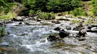 Serene River Flow Sounds for Ultimate Relaxation and Deep Meditation [upl. by Spain]