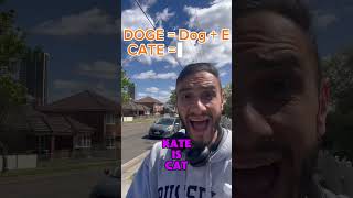 I found the next DOGE coin memecoin doge crypto cate cryptocurrency memecoins dogecoin [upl. by Neerhtak]