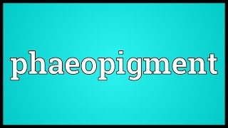 Phaeopigment Meaning [upl. by Mosnar49]