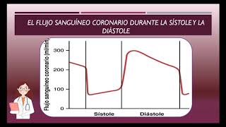 FISIOLOGÍA CARDIO VASCULAR Circulación Coronario [upl. by Aidiruy66]