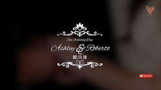 Wedding Titles  Premiere Pro Templates  Free Project PR [upl. by Nertie]