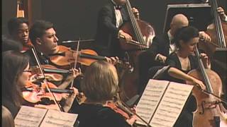 Camerata Chicago Tippett Sellingers Round Mov 2 [upl. by Arit]