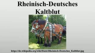 RheinischDeutsches Kaltblut [upl. by Aissyla]