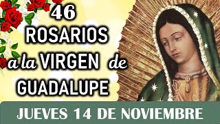 46 Rosarios a la Santísima Virgen de Guadalupe Jueves 14 de Noviembre Dia 18 ✨Misterios Luminosos✨ [upl. by Hametaf]