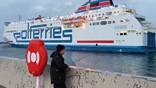 ŚLEDZIE 2024  pełne wiadro ustukasz prom Polferries Wędkarstwo w porcie Gdańsk 2232024 [upl. by Cuthbert]