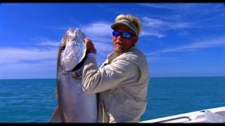 Monster Amberjack Fishing on Light Tackle in Key West Florida [upl. by Ymij]