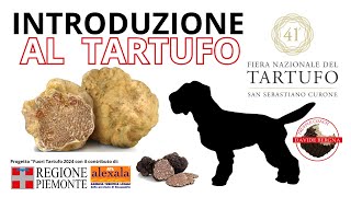 INTRODUZIONE al mondo del TARTUFO [upl. by Bander279]