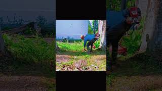 First Steps to a Clean and Beautiful Garden CleanGrassGardenCleaningGardenBeautification [upl. by Oirevas240]