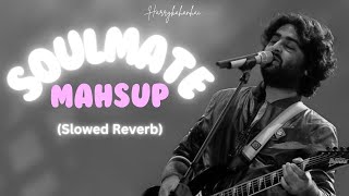 Soulmate Mashup 2024 Slowed Reverb Arijit Singh  Latest Bollywood Mashup  Harrykahanhai [upl. by Porta]