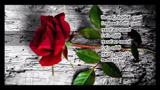 Rosa Mal Pethi Pini BinduChandrasena Hettiarachchi [upl. by Cassondra]