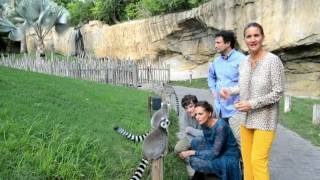 Los jueces de MasterChef Pepe Jordi y Samantha conocen a los lémures de BIOPARC [upl. by Etnomal531]