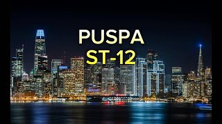 PUSPA ST12 lirik lagu [upl. by Salzhauer]