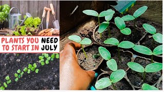 Secrets to Growing the Perfect Garden This July [upl. by Greenberg23]