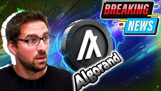 Algorand crypto report shows massive growth 😱 [upl. by Sucramat107]