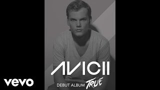 Hey Brother  Avicii Lyrics 🎵 [upl. by Ranique]