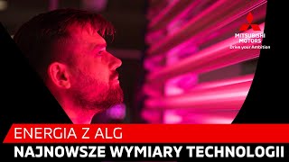 Najnowsze wymiary technologii  energia z alg [upl. by Inan]