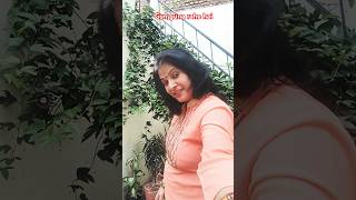 Sharmila Tagoreashabhosle music song bollywood bollywoodsongs youtubeshorts oldsong [upl. by Aisiram]