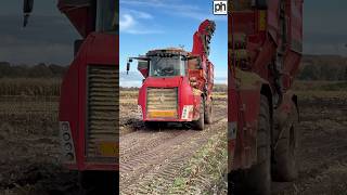 BIG HOLMER CHASER BIN CARTING MAIZE FOR SILAGE agri [upl. by Ahsimit915]