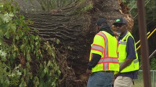 Cleanup across Indianapolis continues after Fridays storm [upl. by Ellord]