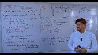 Vegetative propagation in plantsclass 10th biologypashto lecture [upl. by Karee]