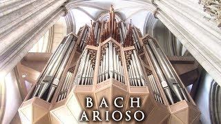 JS BACH  ARIOSO  THE ORGAN OF ST LAMBERTI MÜNSTER GERMANY  JONATHAN SCOTT [upl. by Ayadahs856]