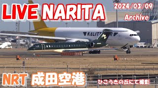 🔴LIVE at NARITA International Airport Plane Spotting 20240309 成田空港ライブカメラ 成田空港 NRTRJAA [upl. by Anne-Corinne]