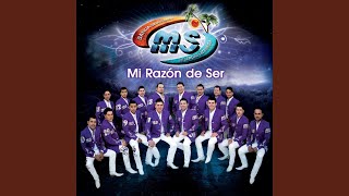 BANDA MS  GRACIAS A TI VIDEO OFICIAL [upl. by Ailak]