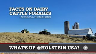 Whats Happening at Holstein USA HighQuality Forages [upl. by Winona]