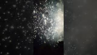 Firework PERFECT 2024 33 in 4K shorts viral fireworks [upl. by Shanon]