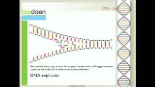 Biodoen  leesrichting 2 van 2 [upl. by Gnas]