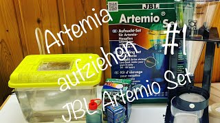 Artemia einfach selbst aufzüchten 1 JBL Artemio Set [upl. by Wheeler442]