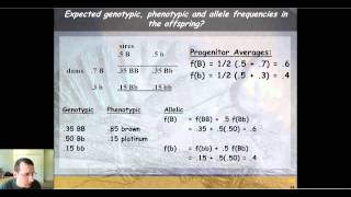 Predicting Future Generations in Populations with HardyWeinberg Equilibrium Part 2 [upl. by Nosyrb]