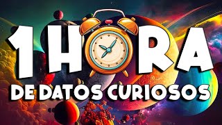 ¡ 1 HORA sin pausas de DATOS CURIOSOS y COSAS QUE NO SABÍAS  ⏰😲 16 curiomaníatv [upl. by Aneehsram]