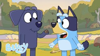 Los mejores amigos de Bluey y Bingo de la temporada 1  Bluey Español Canal Oficial [upl. by Watt699]